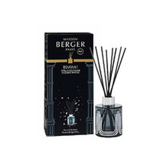 Maison Berger Paris Aroma difuzér Olymp šedý Intenzivní třpyt Exquisite sparkle 115 ml unisex