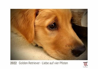 Golden Retriever - Liebe auf vier Pfoten 2022 - White Edition - Timokrates Kalender, Wandkalender, Bildkalender - DIN A4 (ca. 30