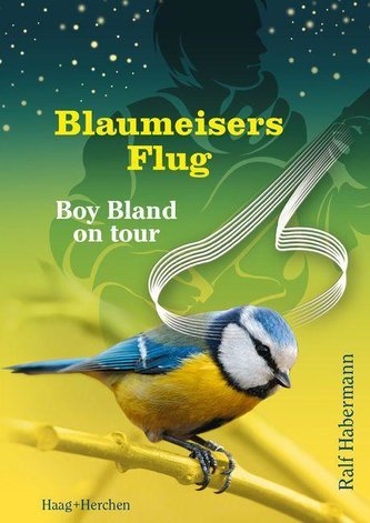 Blaumeisers Flug