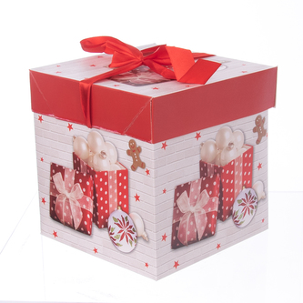 Krabice dárková papír vánoční červená 22x22x22 cm