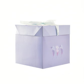 Krabice dárková papír peříčka modrá 17x17x17 cm