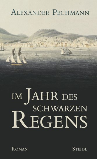 Im Jahr des schwarzen Regens