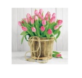 Ubrousek tulipán 20 ks 33x33 m