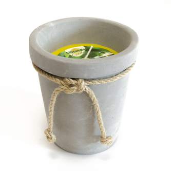 Svíčka cement citronela v květináči 15x17 cm