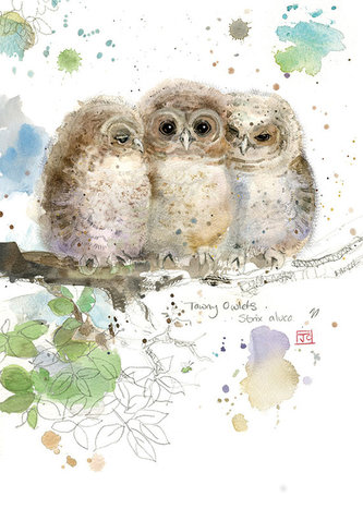 Přání F021 BUG ART