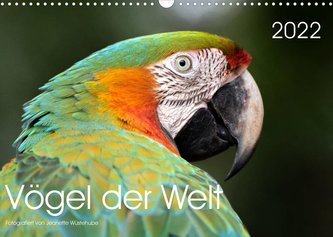Vögel der Welt (Wandkalender 2022 DIN A3 quer)