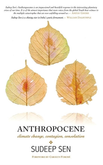 Anthropocene