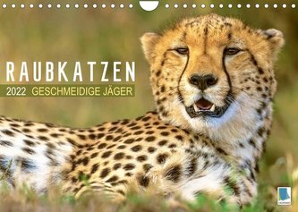 Raubkatzen: Geschmeidige Jäger (Wandkalender 2022 DIN A4 quer)