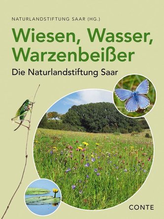 Wiesen, Wasser, Warzenbeißer