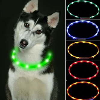 Reedog Easy Light USB dobíjecí svítící obojek pro psy a kočky-modrá