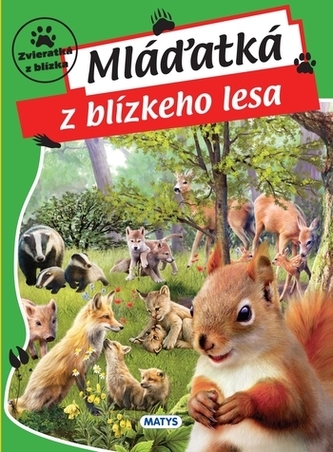 Mláďatká z blízkeho lesa Mláďatká z blízkeho lesa