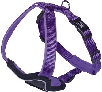 Nobby CLASSIC PRENO hrudní postroj XS-S fialová