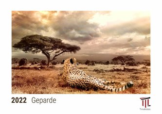 Geparde 2022 - Timokrates Kalender, Tischkalender, Bildkalender - DIN A5 (21 x 15 cm)