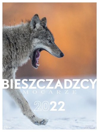 Bieszczadzcy mocarze 2022