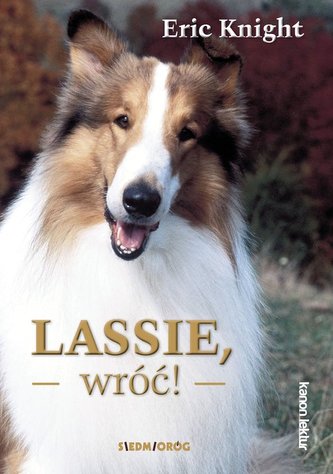 Lassie wróć!