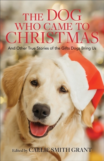 The Dog Who Came to Christmas The Dog Who Came to Christmas