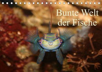 Bunte Welt der Fische (Tischkalender 2022 DIN A5 quer)