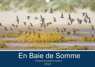 En Baie de Somme (Calendrier mural 2022 DIN A3 horizontal)