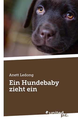 Ein Hundebaby zieht ein