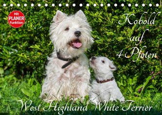 Kobold auf 4 Pfoten - West Highland White Terrier (Tischkalender 2022 DIN A5 quer)