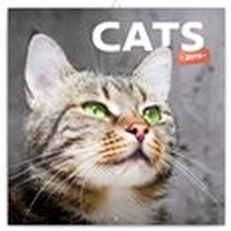 Poznámkový kalendář Kočky 2019