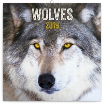 Poznámkový kalendář Vlci 2019, 30 x 30 c