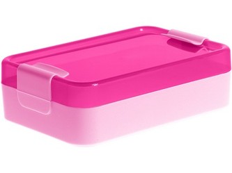 box svačinový 21x14x6,5cm s klick.uz. PH RŮŽ
