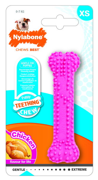Hr.NYLAB Puppy Teething Dental Chew ruzova XS