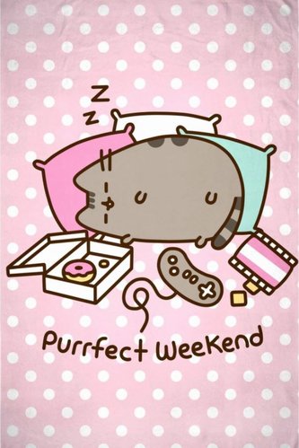 Fleece deka Pusheen: Purrfect Weekend (130 x 170 cm)