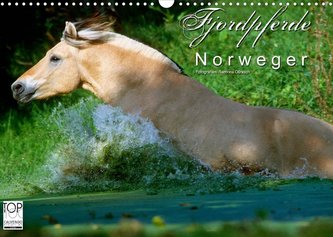 Fjordpferde - Norweger (Wandkalender 2022 DIN A3 quer)