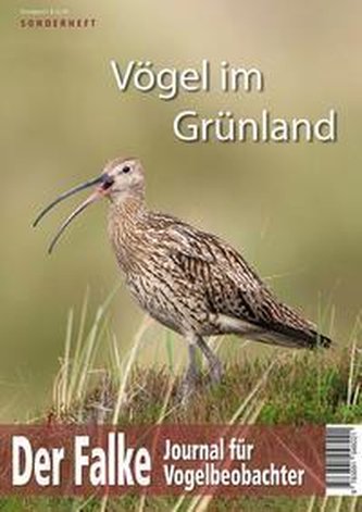 Vögel im Grünland