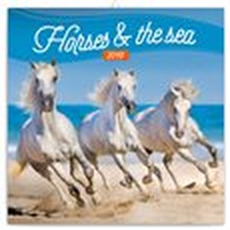 Poznámkový kalendář Koně a moře 2019