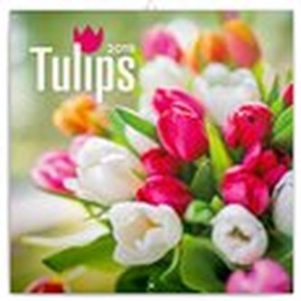 Poznámkový kalendář Tulipány 2019