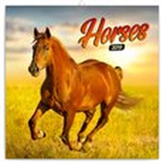 Poznámkový kalendář Koně 2019