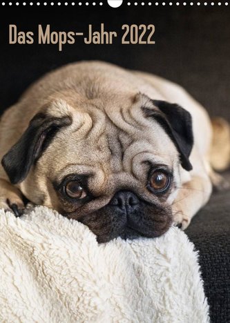Das Mops-Jahr 2022 (Wandkalender 2022 DIN A3 hoch)