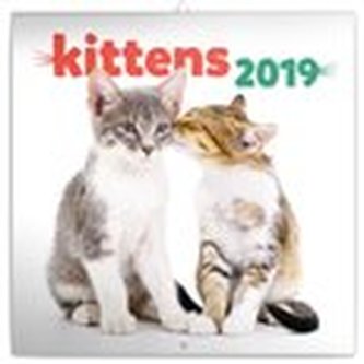 Poznámkový kalendář Koťata 2019