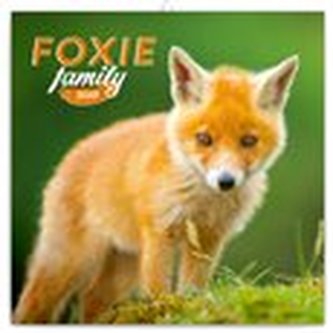 Poznámkový kalendář Liščí rodinka 2019