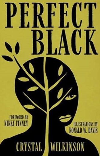Perfect Black Perfect Black