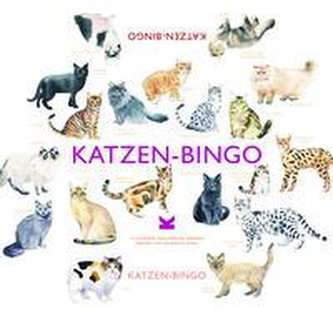 Katzen-Bingo