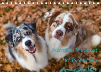 Australian Shepherd 2022 (Tischkalender 2022 DIN A5 quer)