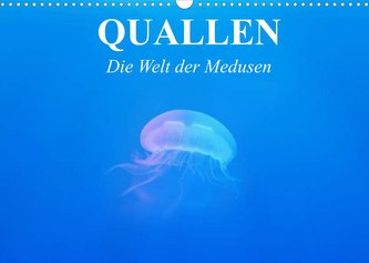 Quallen. Die Welt der Medusen (Wandkalender 2022 DIN A3 quer)