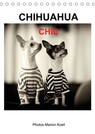 CHIHUAHUA CHIC Photos Marion Koell (Tischkalender 2022 DIN A5 hoch)