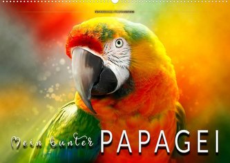 Mein bunter Papagei (Wandkalender 2022 DIN A2 quer)