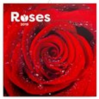 Poznámkový kalendář Růže 2019, voňavý