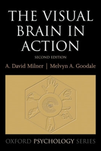 The Visual Brain in Action