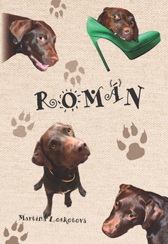 Román (Martina Loskotová, 2018)