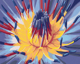 Malování podle čísel - OTEVÍRAJÍCÍ SE KVĚT - 40x50 cm, bez rámu a bez vypnutí plátna