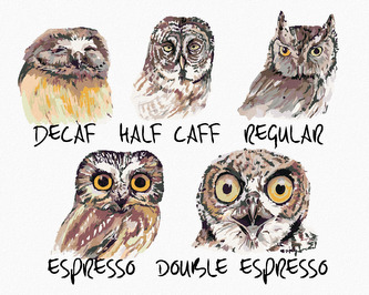 Malování podle čísel - SOVY (HOLLY SIMENTAL) - 40x50 cm, vypnuté plátno na rám