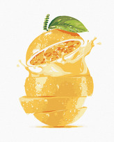 Malování podle čísel - CITRON - 80x100 cm, bez rámu a bez vypnutí plátna