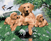 Malování podle čísel - ZLATÝ RETRÍVR A ŠTĚŇATA (HOWARD ROBINSON) - 40x50 cm, vypnuté plátno na rám